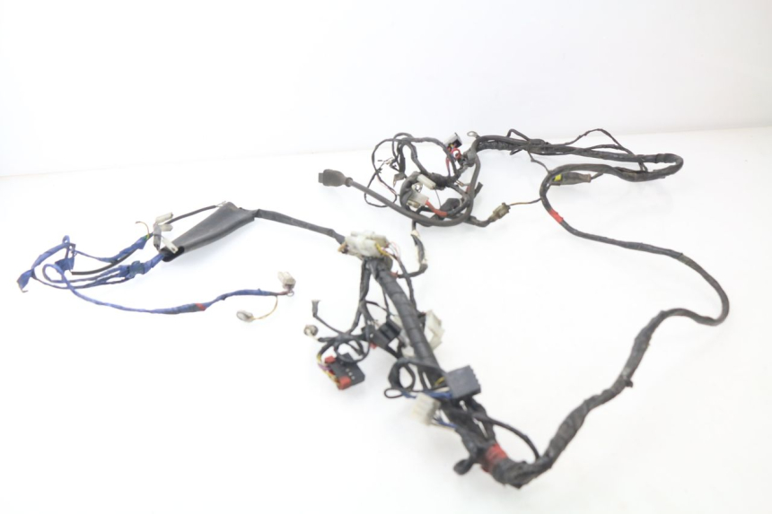 photo de WIRE HARNESS PIAGGIO LIBERTY 2T 50 (2004 - 2008) - Alternative perspective