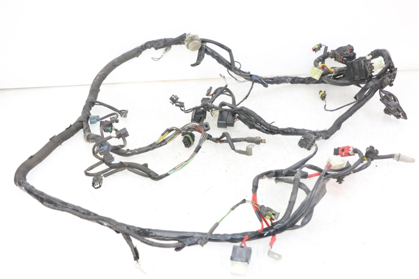 photo de WIRE HARNESS PIAGGIO LIBERTY IGET 4T 50 (2021 - 2025) - Main view