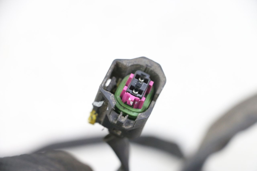 photo de WIRE HARNESS PIAGGIO LIBERTY IGET 4T 50 (2021 - 2025) - Component detail