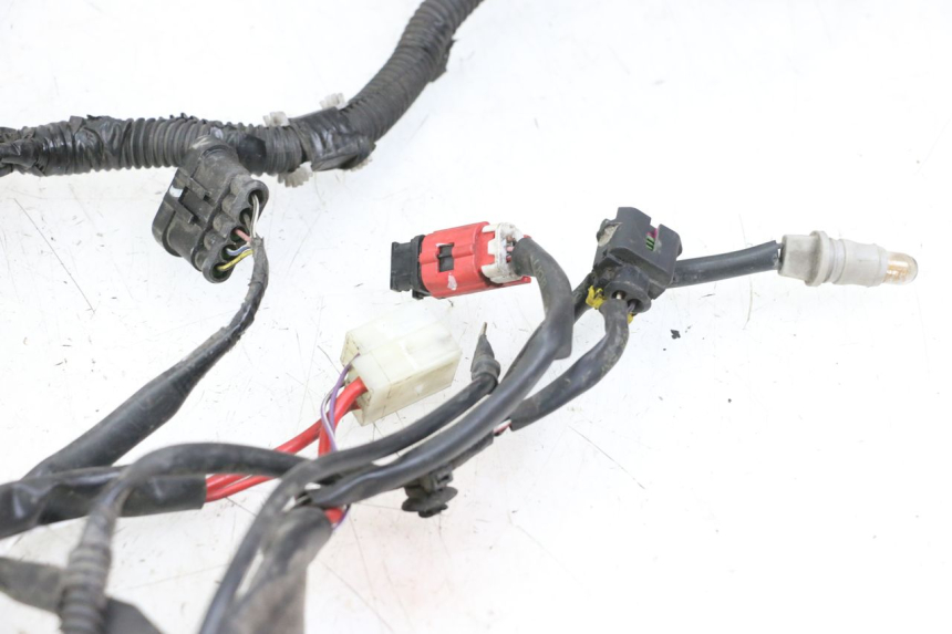 photo de WIRE HARNESS PIAGGIO LIBERTY IGET 4T 50 (2021 - 2025) - Additional view of the item