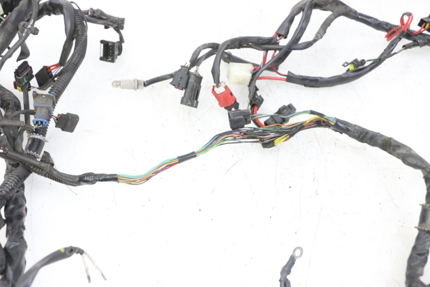 photo de WIRE HARNESS PIAGGIO LIBERTY IGET 4T 50 (2021 - 2025) - Alternative perspective