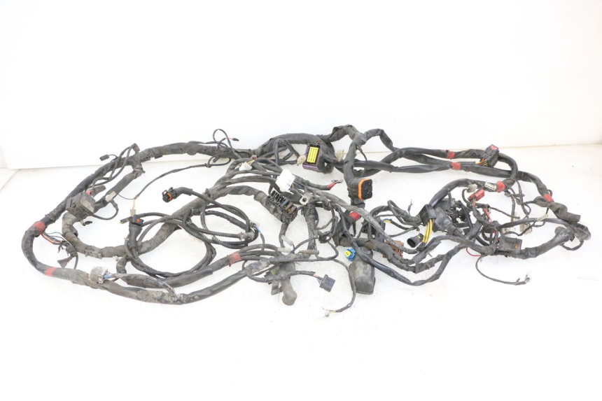 photo de WIRE HARNESS PIAGGIO MP3 125 (2006 - 2014) - Main view
