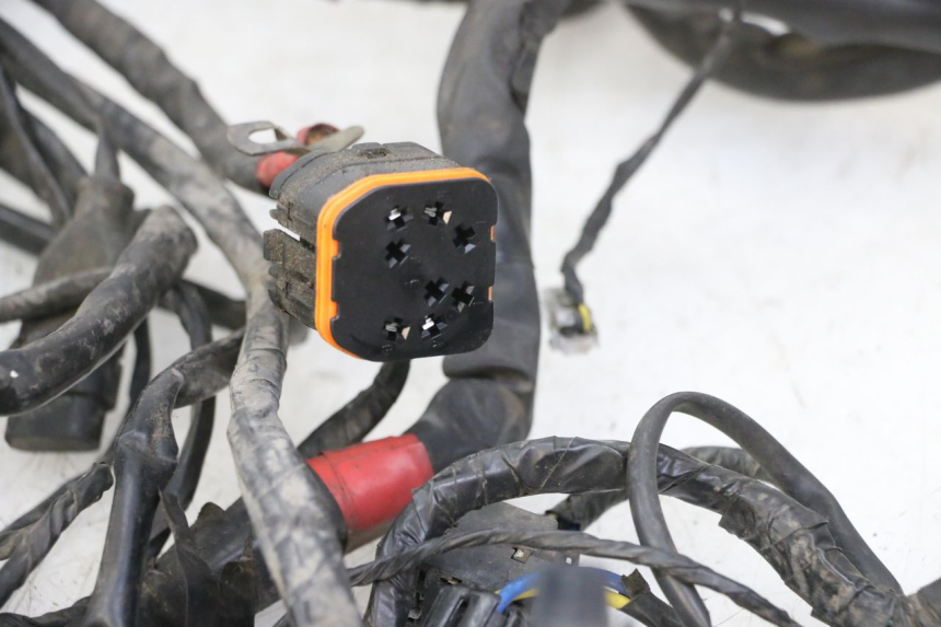 photo de WIRE HARNESS PIAGGIO MP3 125 (2006 - 2014) - Focus on structure