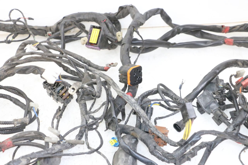 photo de WIRE HARNESS PIAGGIO MP3 125 (2006 - 2014) - Spare part profile view