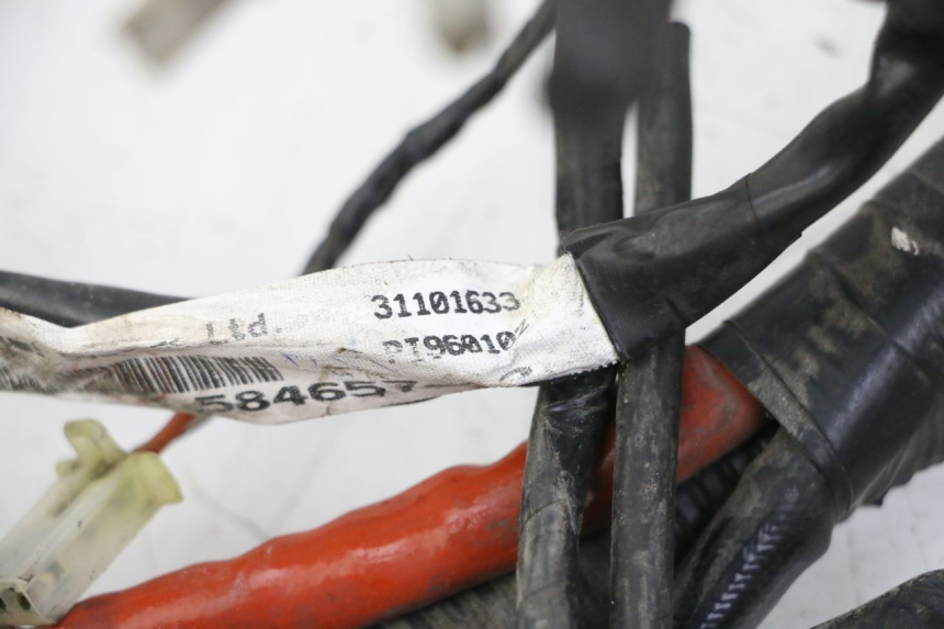 photo de WIRE HARNESS PIAGGIO VESPA GRANTURISMO 200 (2004 - 2005) - Component detail