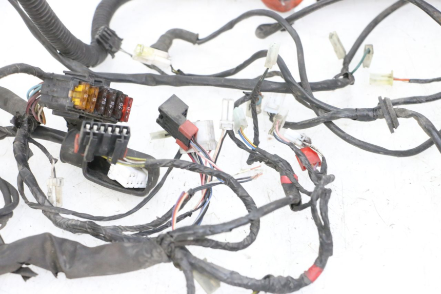 photo de WIRE HARNESS PIAGGIO VESPA GRANTURISMO 200 (2004 - 2005) - Distinctive features