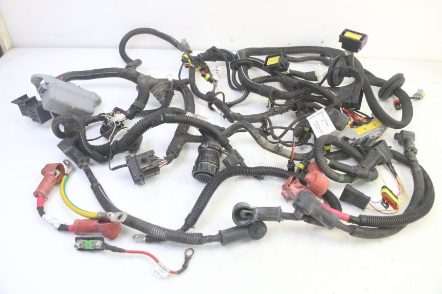 photo de WIRE HARNESS LIGIER PULSE 3 1 (2014 - 2020) - Main view