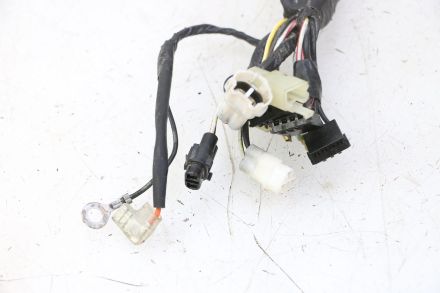 photo de WIRING HARNESS YAMAHA PW 50 (1984 - 2025) - Alternative perspective