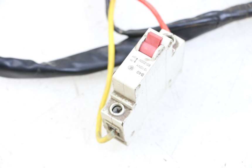 photo de WIRE HARNESS DOLPHIN PYGMY 1 (2020 - 2024) - Component detail