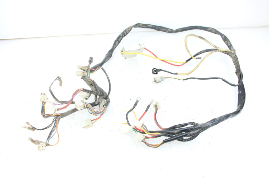 photo de WIRE HARNESS DOLPHIN PYGMY 1 (2020 - 2024) - Alternative perspective