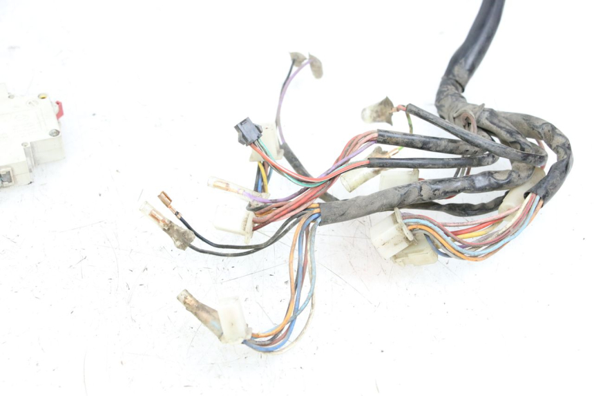 photo de WIRE HARNESS DOLPHIN PYGMY 1 (2020 - 2024) - Technical close-up