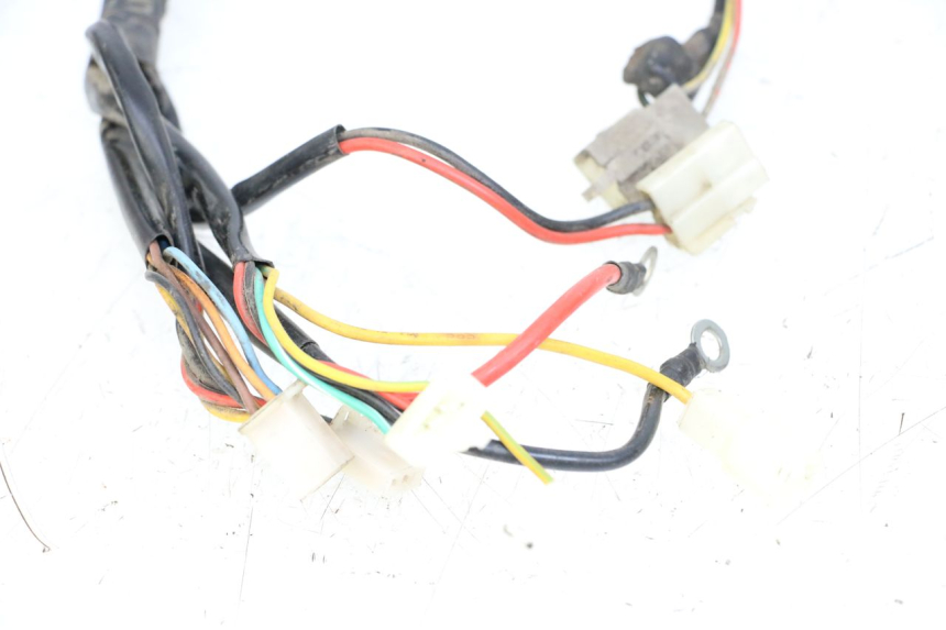 photo de WIRE HARNESS DOLPHIN PYGMY 1 (2020 - 2024) - Fixing points details