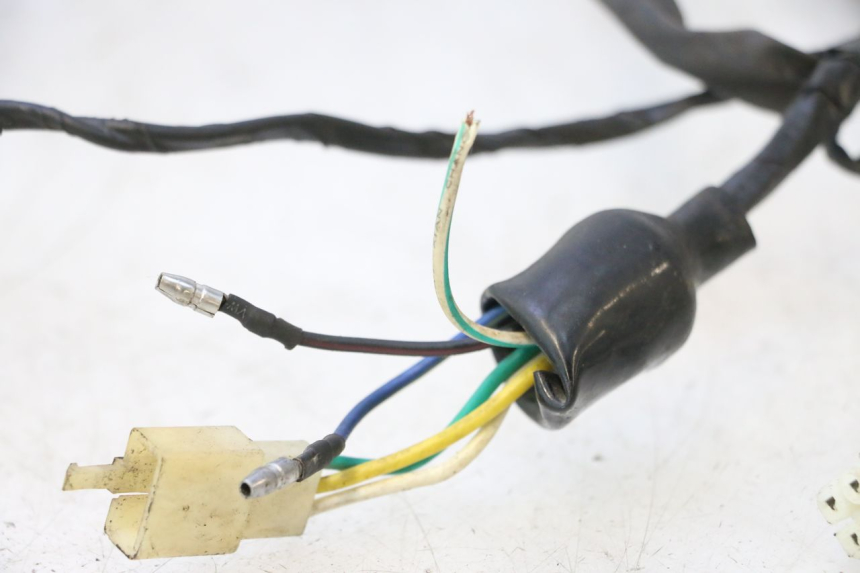 photo de WIRE HARNESS RAZZO QTR 50 (2011 - 2018) - Distinctive features