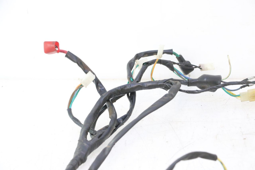 photo de WIRE HARNESS RAZZO QTR 50 (2011 - 2018) - Product overview