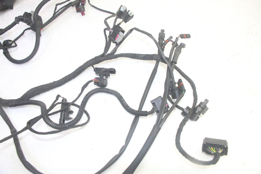 photo de WIRE HARNESS BMW R GS 1250 (2021 - 2024) - Fixing points details