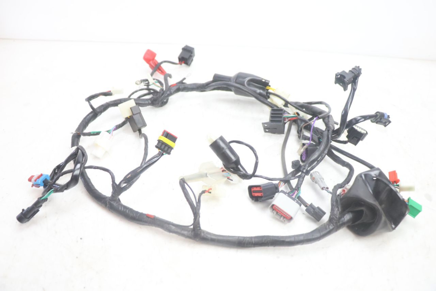 photo de WIRE HARNESS JM MOTORS R-MAX TECH 50 (2024 - 2026) - Main view
