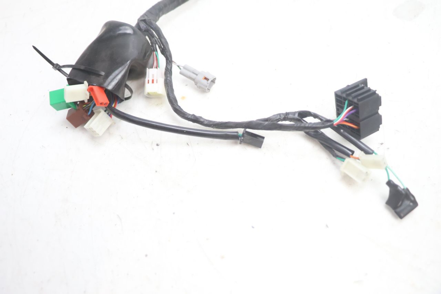 photo de WIRE HARNESS JM MOTORS R-MAX TECH 50 (2024 - 2026) - Component detail