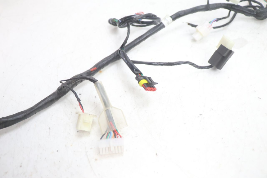 photo de WIRE HARNESS JM MOTORS R-MAX TECH 50 (2024 - 2026) - Zoom on usage condition