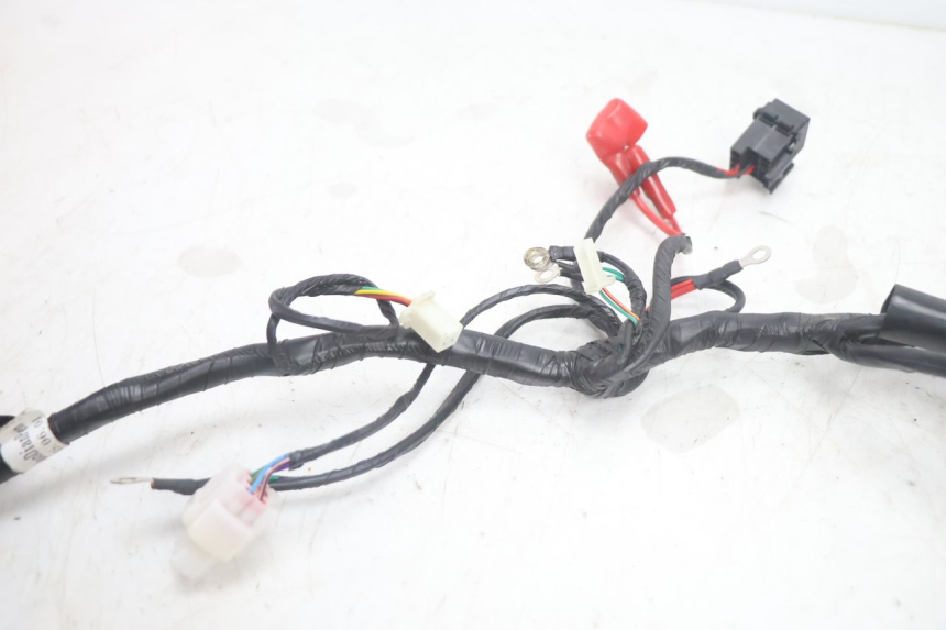 photo de WIRE HARNESS JM MOTORS R-MAX TECH 50 (2024 - 2026) - Alternative perspective