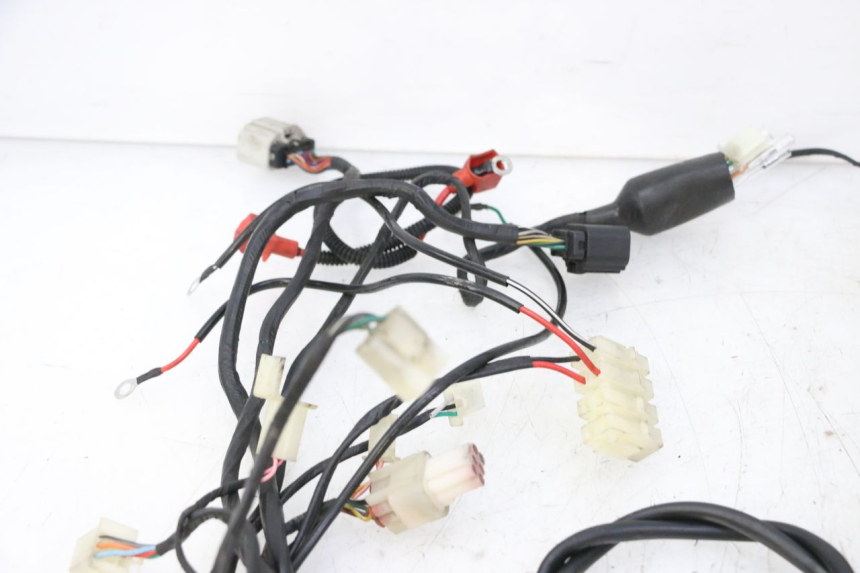 photo de WIRE HARNESS MAG POWER R-STREET 50 (2016 - 2025) - Alternative perspective