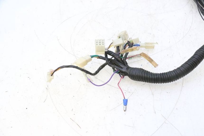 photo de WIRE HARNESS RIDE RACE GT 2T 50 (2012 - 2017) - Component detail