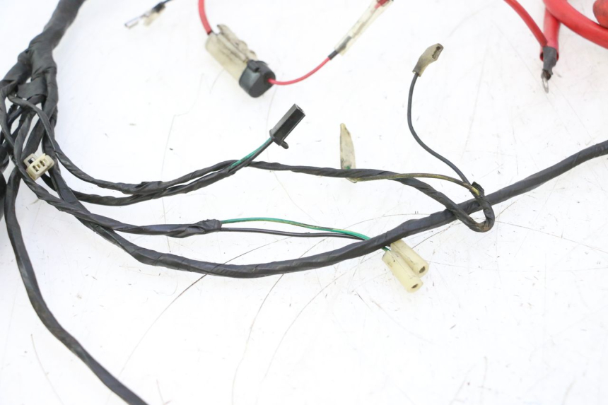 photo de WIRE HARNESS RIDE RACE GT 2T 50 (2012 - 2017) - Additional view of the item