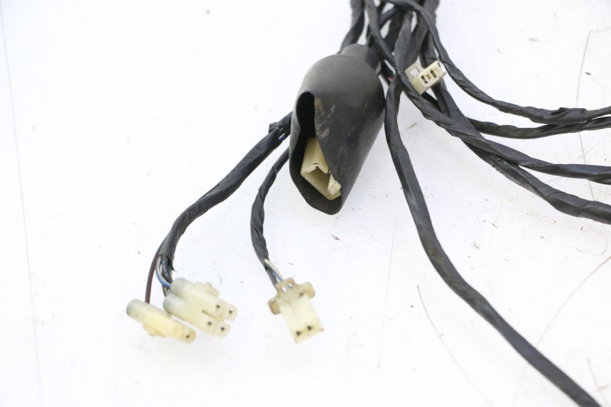 photo de WIRE HARNESS RIDE RACE GT 2T 50 (2012 - 2017) - Distinctive features