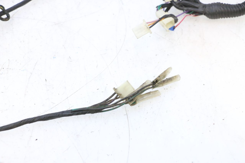photo de WIRE HARNESS RIDE RACE GT 2T 50 (2012 - 2017) - Checked used part