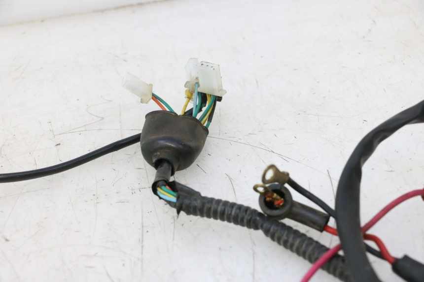 photo de WIRE HARNESS ORCAL RAPTOR 50 (2015 - 2021) - Component detail