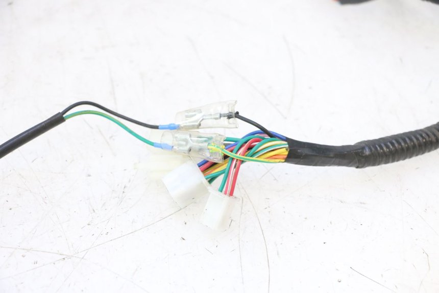 photo de WIRE HARNESS ORCAL RAPTOR 50 (2015 - 2021) - Additional view of the item