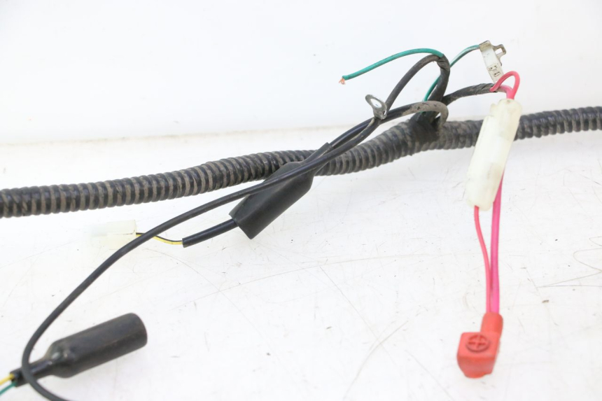 photo de WIRE HARNESS ORCAL RAPTOR 50 (2015 - 2021) - Distinctive features