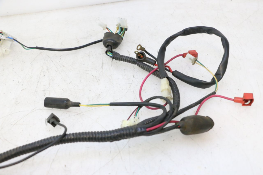 photo de WIRE HARNESS ORCAL RAPTOR 50 (2015 - 2021) - Zoom on usage condition