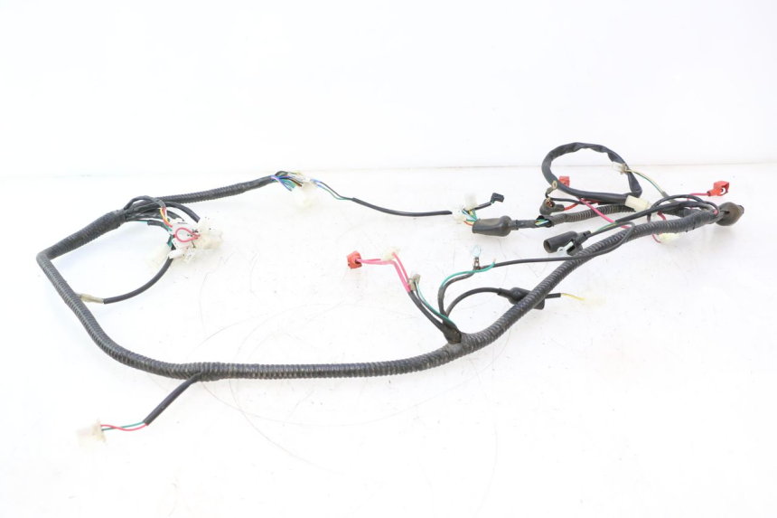 photo de WIRE HARNESS ORCAL RAPTOR 50 (2015 - 2021) - Technical close-up