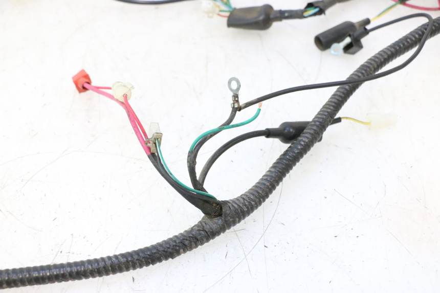 photo de WIRE HARNESS ORCAL RAPTOR 50 (2015 - 2021) - Product overview