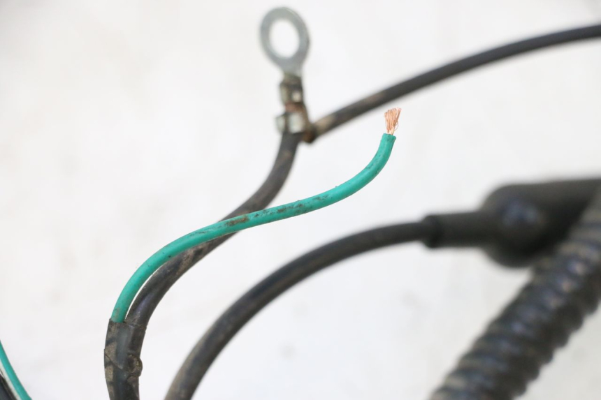 photo de WIRE HARNESS ORCAL RAPTOR 50 (2015 - 2021) - Fixing points details