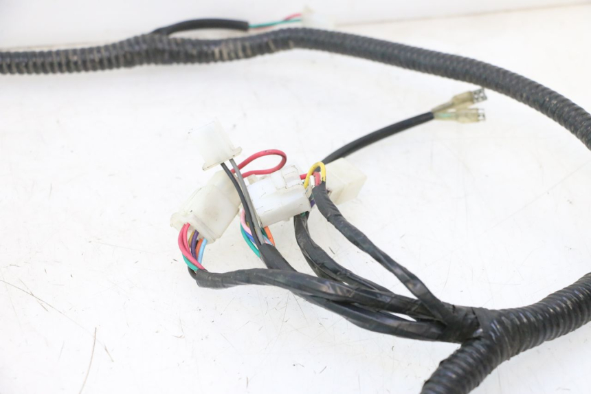 photo de WIRE HARNESS ORCAL RAPTOR 50 (2015 - 2021) - Checked used part