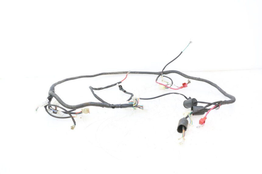 photo de WIRE HARNESS LAZIO RENO 50 (2016 - 2021) - Main view