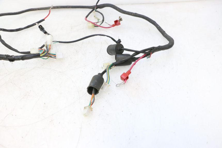 photo de WIRE HARNESS LAZIO RENO 50 (2016 - 2021) - Distinctive features