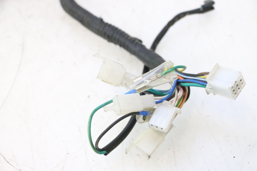 photo de WIRE HARNESS LAZIO RENO 50 (2016 - 2021) - Zoom on usage condition