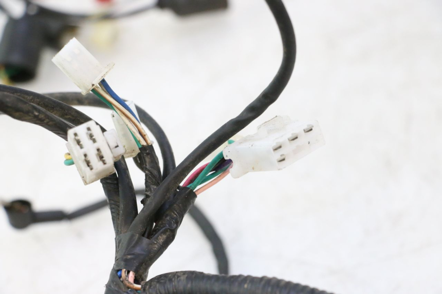photo de WIRE HARNESS LAZIO RENO 50 (2016 - 2021) - Alternative perspective