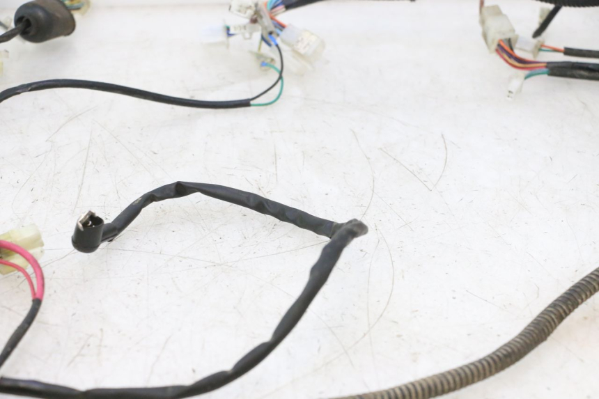 photo de WIRE HARNESS LAZIO RENO 50 (2016 - 2021) - Fixing points details