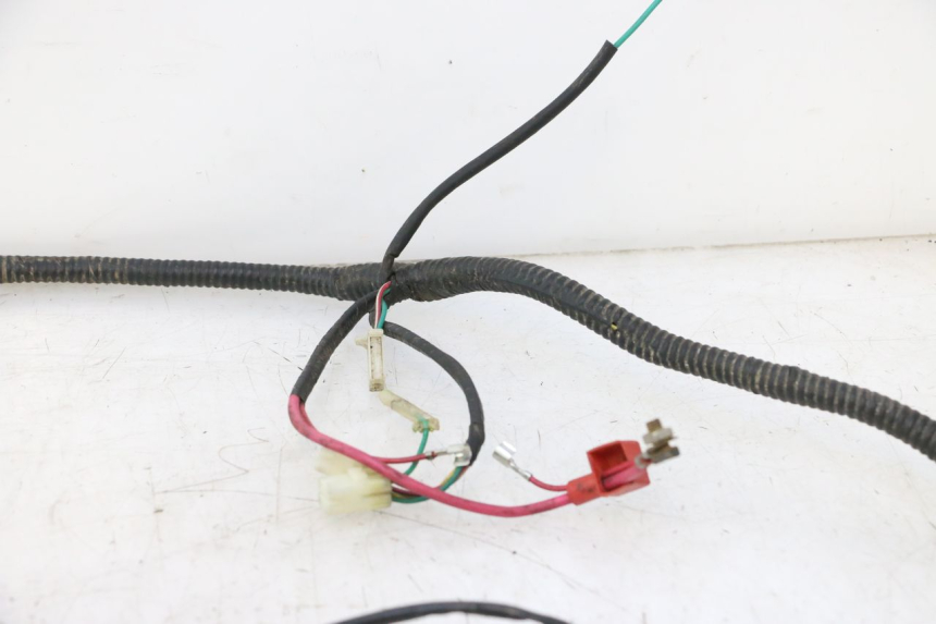 photo de WIRE HARNESS LAZIO RENO 50 (2016 - 2021) - Markings and original references