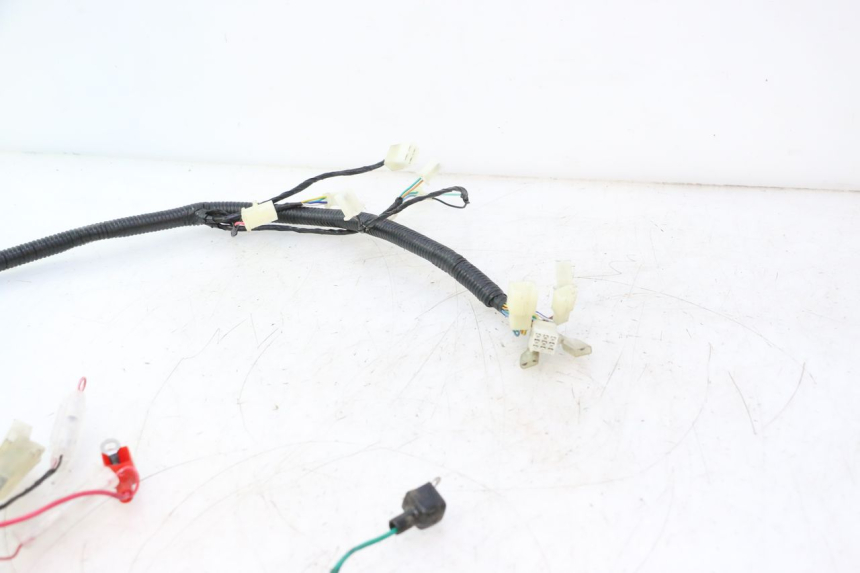 photo de WIRE HARNESS LAZIO RENO 50 (2016 - 2021) - Component detail