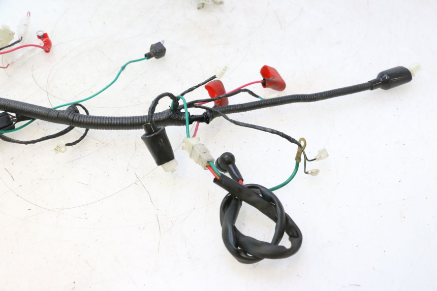 photo de WIRE HARNESS LAZIO RENO 50 (2016 - 2021) - Zoom on usage condition