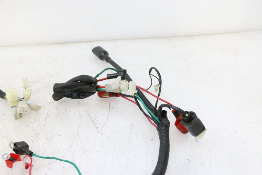 photo de WIRE HARNESS LAZIO RENO 50 (2016 - 2021) - Technical close-up