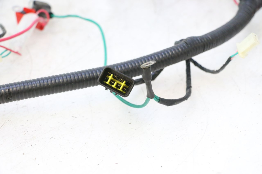 photo de WIRE HARNESS LAZIO RENO 50 (2016 - 2021) - Product overview