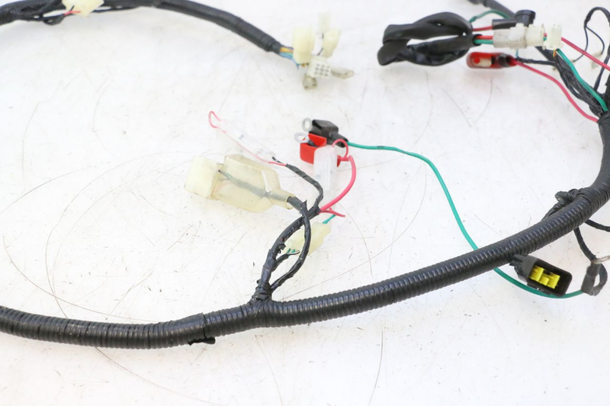 photo de WIRE HARNESS LAZIO RENO 50 (2016 - 2021) - Fixing points details