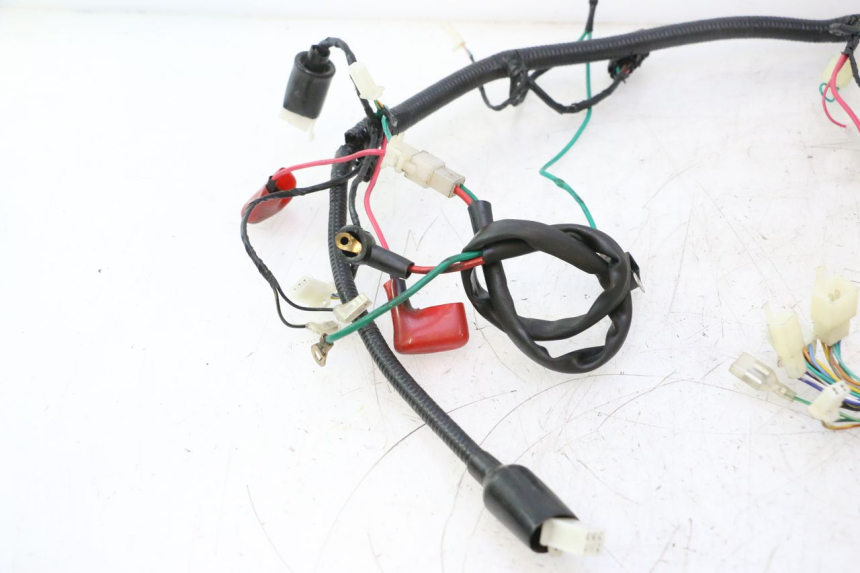 photo de WIRE HARNESS LAZIO RENO 50 (2016 - 2021) - Surface and material condition