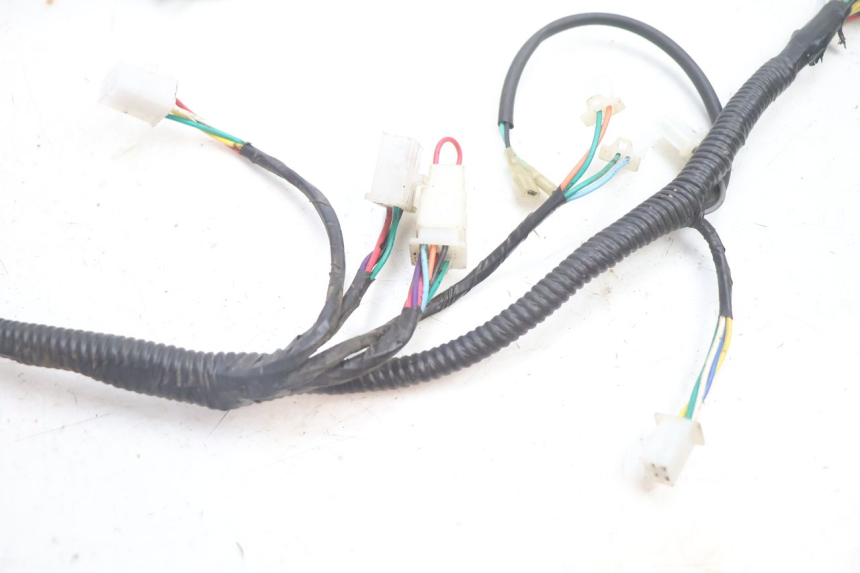 photo de WIRE HARNESS LAZIO RENO 50 (2016 - 2021) - Zoom on usage condition