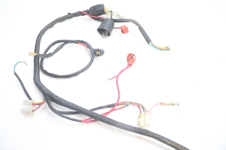 photo de WIRE HARNESS LAZIO RENO 50 (2016 - 2021) - Alternative perspective